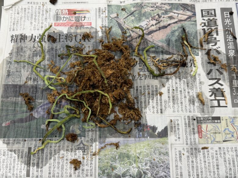 画像に alt 属性が指定されていません。ファイル名: IMG_7047.jpeg